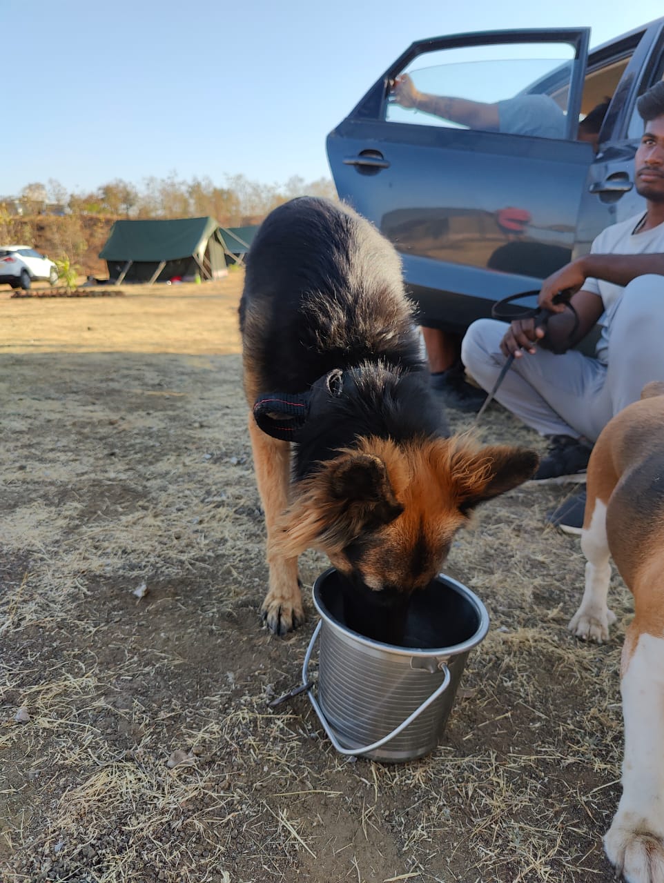 Furventures - Pet Adventures & Events - Photo 31